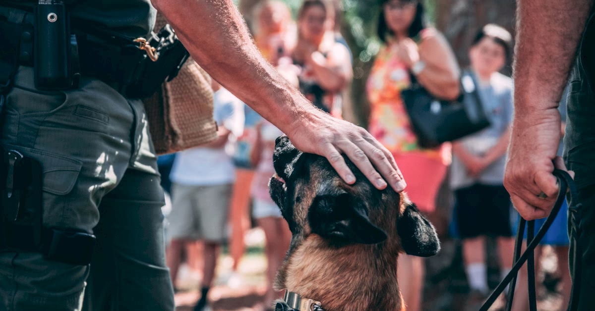 K9 Demo PHoto