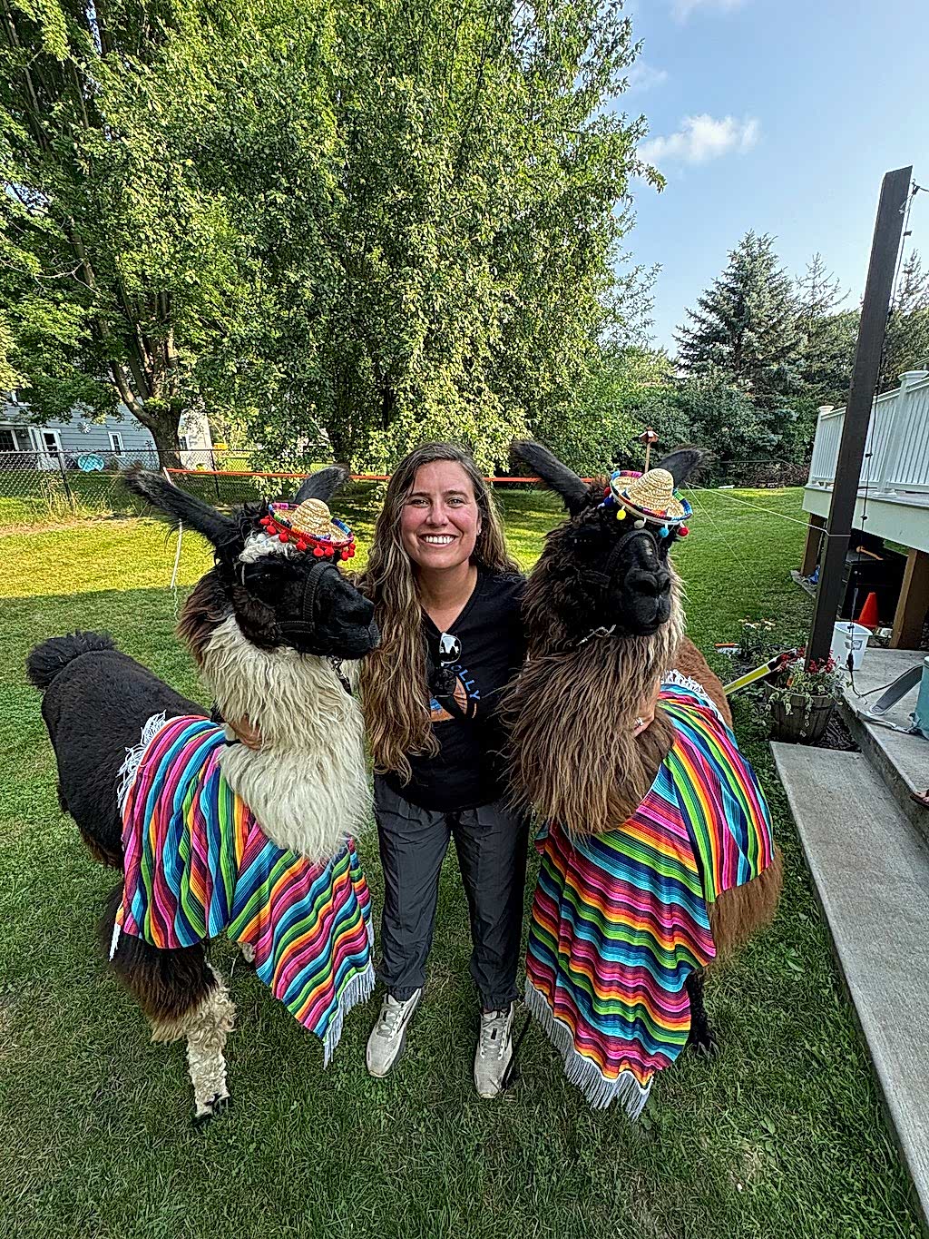 Happy Jolly Llamas